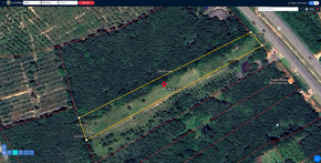 ขาย ที่ดิน ติดถนนเพชรเกษม ที่ดินป่าบอนถูกกว่าใกล้เคียง พร้อมไฟฟ้าน้ำประปา อสังหาพัทลุงราคาคุ้มสุด ที่ดินพัทลุงราคาถูก