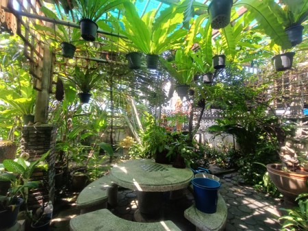 บ้าน ขาย เกษตรนวมินทร์–เอกมัย–รามอินทรา สะดวกเดินทางหลายทาง ใกล้โรงพยาบาลเปาโลโชคชัย4 บ้านมือสองลาดพร้าวโชคชัย4 เลียบด่วน