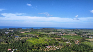 ที่ดิน ขาย ใกล้สนามบินภูเก็ตใกล้ทะเล เหมาะทำบ้านพักตากอากาศ ซื้อที่ดินโคกกลอยเจ้าของขายเอง ที่ดินเปล่าโคกกลอยโฉนดพร้อมโอน ขายที่ดินใกล้หาดนาใต้ไม่เกินล้าน