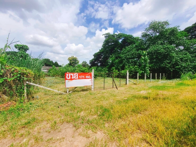 ขาย ที่ดิน ยินดีรับนายหน้า เหมาะสร้างบ้านเช่าทำออฟฟิศ บ้านป่าพร้าวนอกซอย6วงแหวนรอบ1 เหมาะสร้างบ้านอพาร์ตเมนต์หอพัก ใกล้ทั้งเมืองสนามบินและศูนย์การค้า